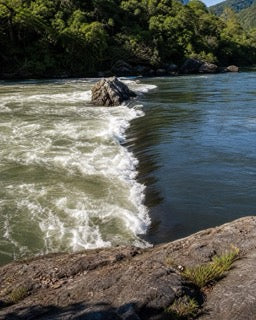 Leggere l'acqua